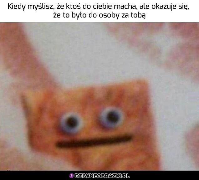 Ten moment Ten moment