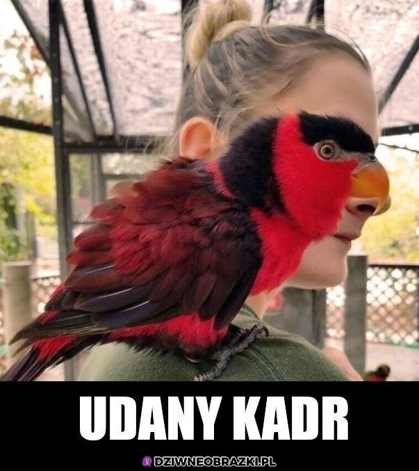 Ładnie wpasowane
