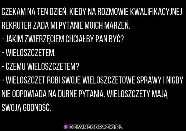 Pytanie marzeń