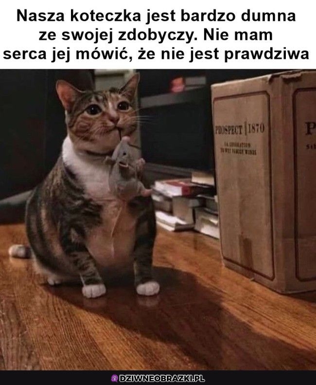 Dumne kitku