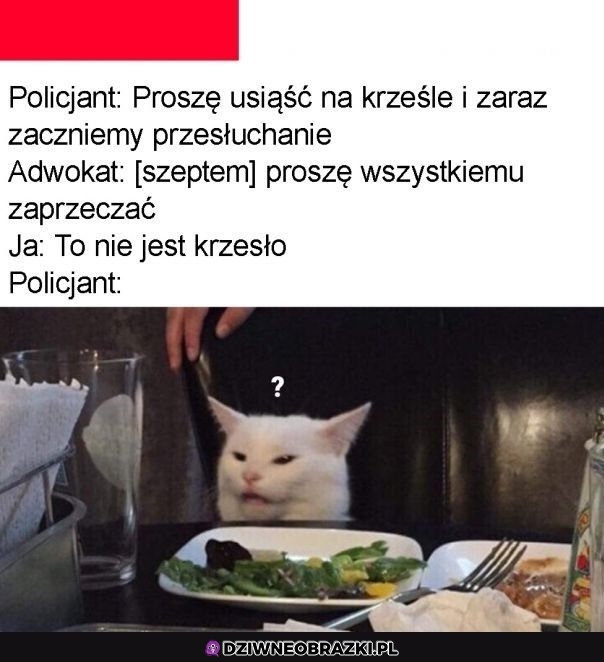 Kiedy nie jesteś zbyt bystry