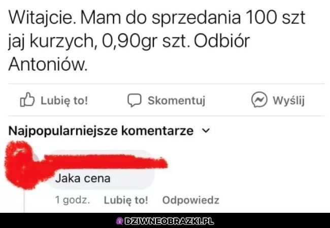 Kiedy edukacja zawiodła