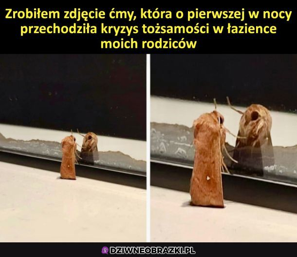 Każdy miewa kryzys