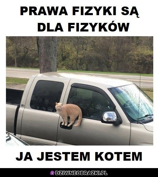 Fizyka? Jaka fizyka?