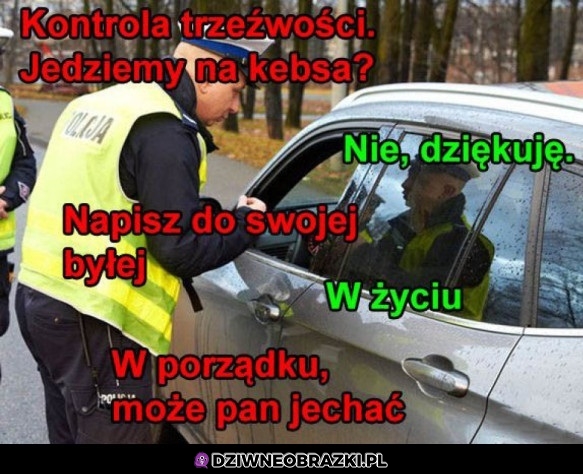 Szybka kontrola