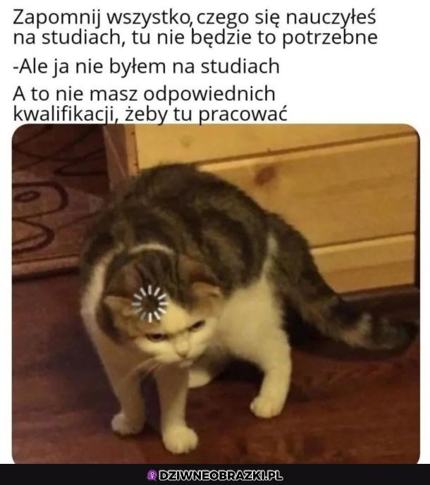 WTF