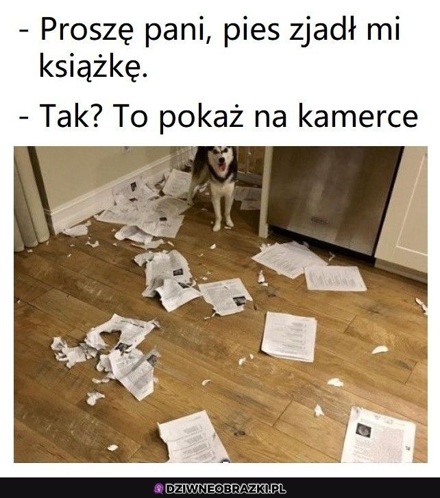 A jednak