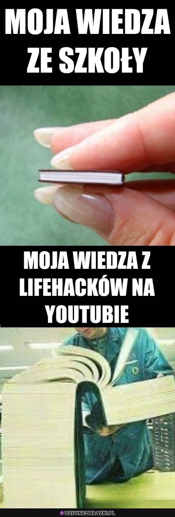 Dokładnie tak