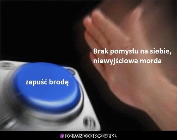 Zdecydowanie tak