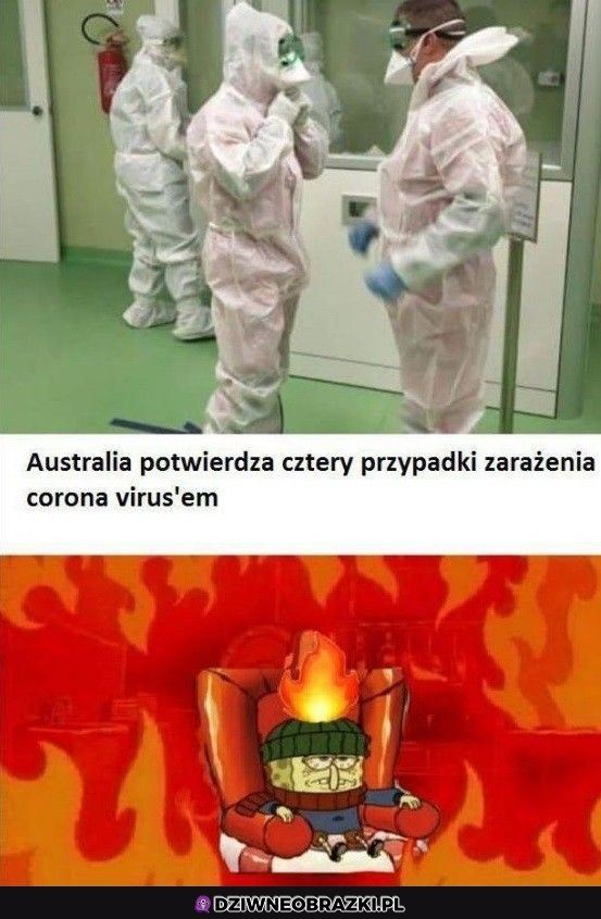 Tymczasem Australia