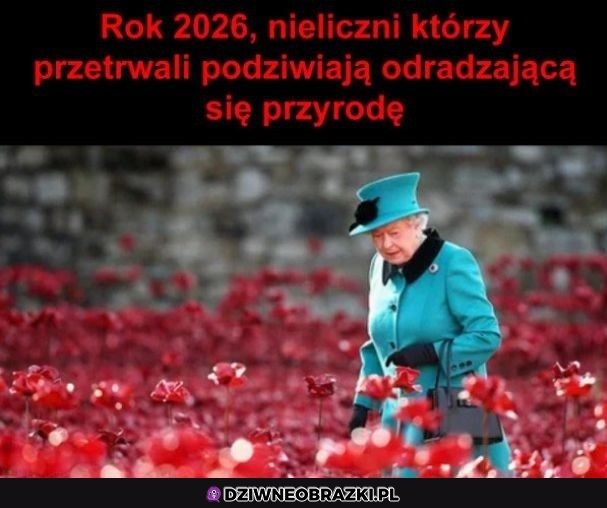 Za 6 lat
