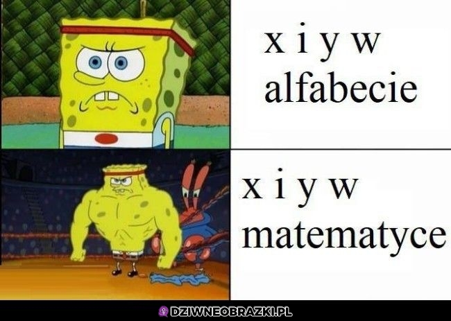 X i Y