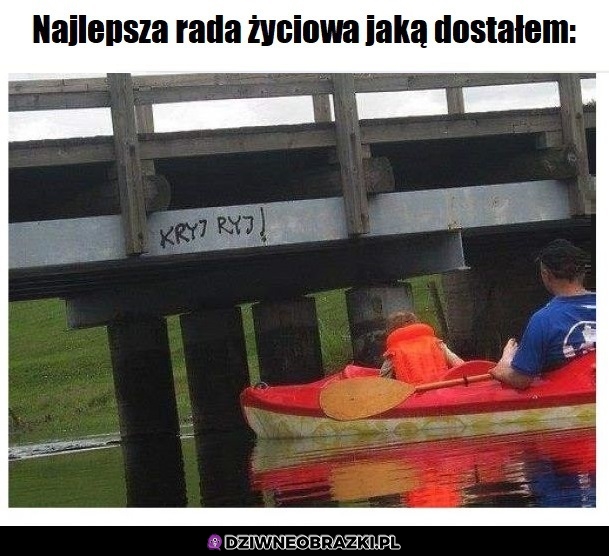 Krotko
