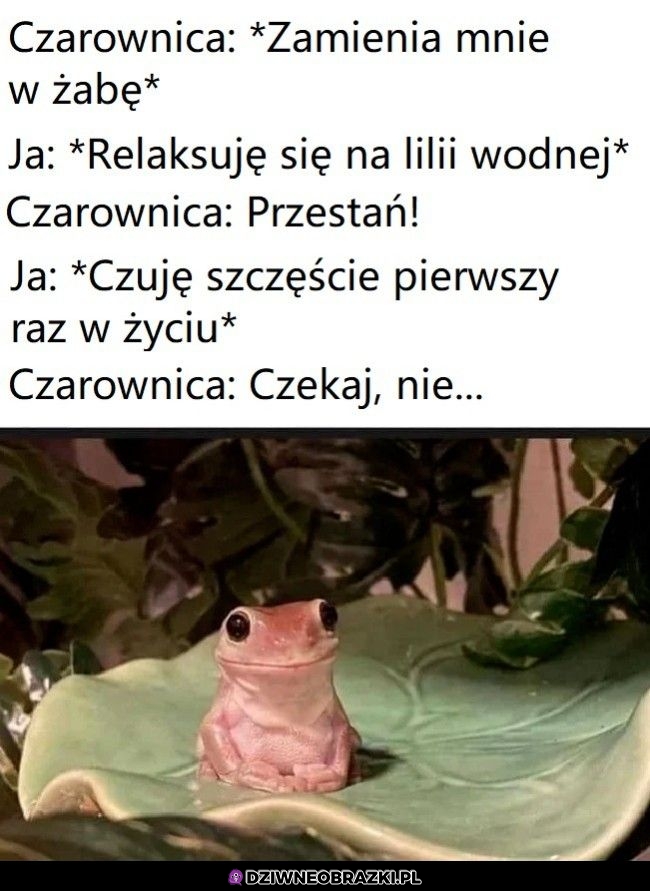 Chcę taką karę