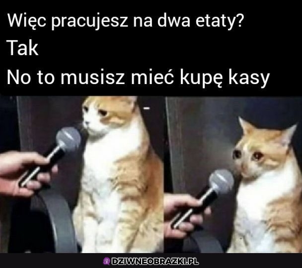 Co muszę?