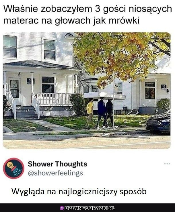 pomysłowość nie zna granic