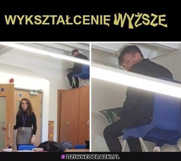 Wykształcenie
