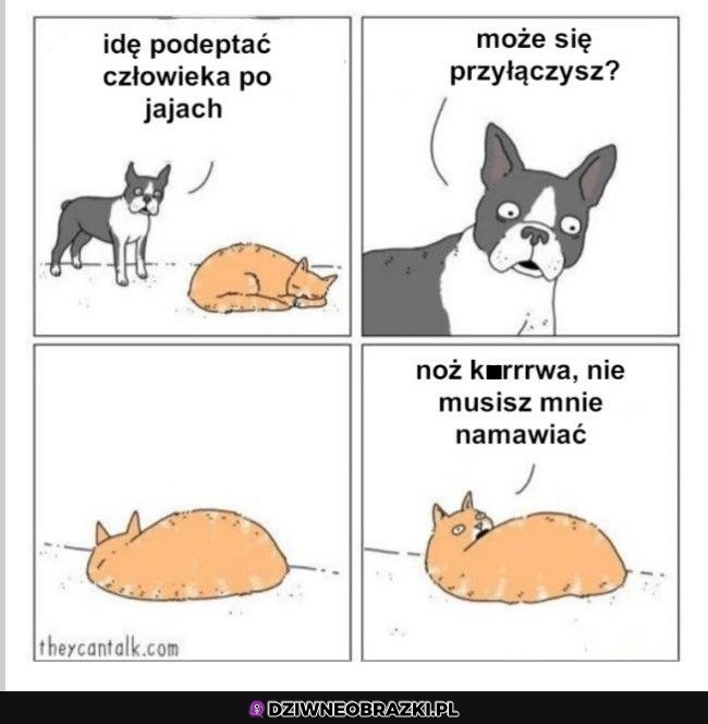 Zawsze
