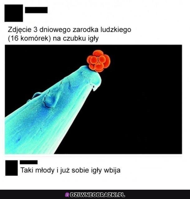 Od małego