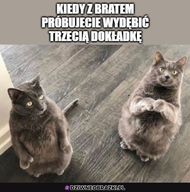 Mame, daj jeszcze trochę