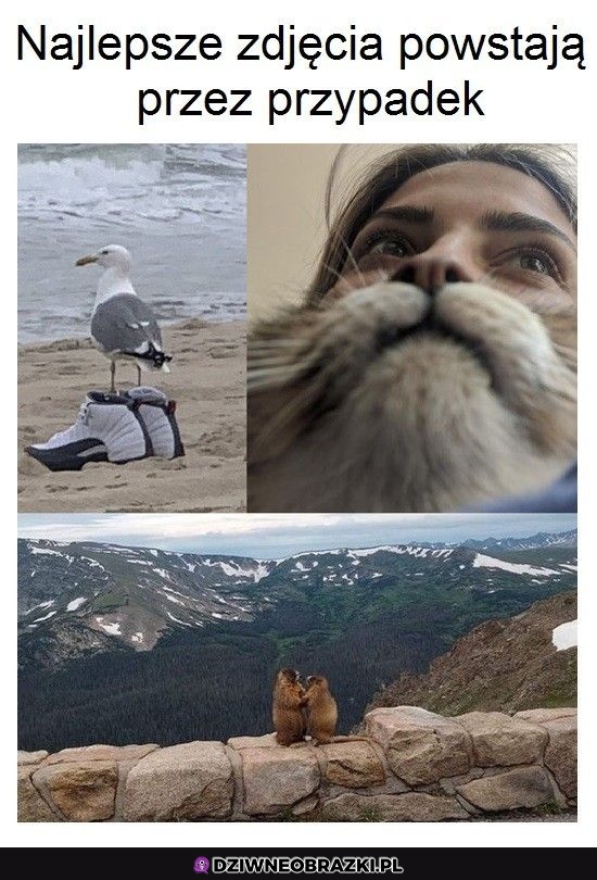 Najlepsze zdjęcia