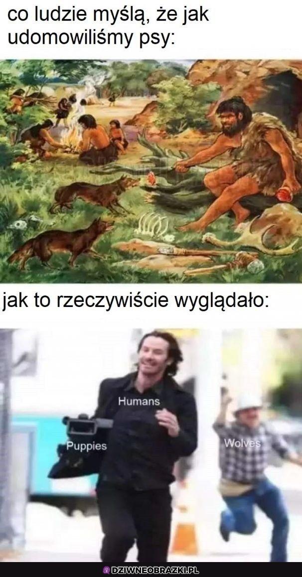 Właśnie tak