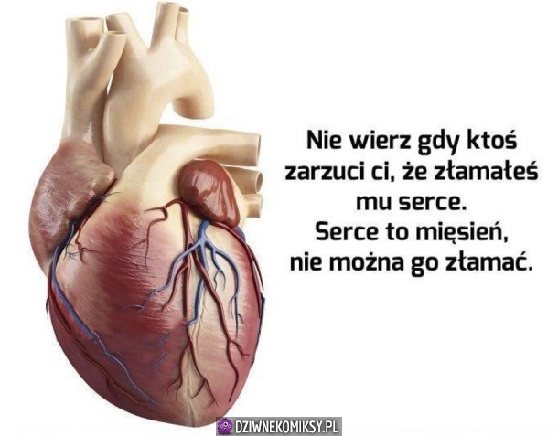 No właśnie