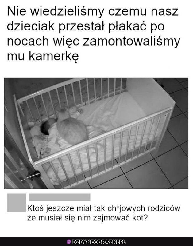 Radzi sobie lepiej od nich