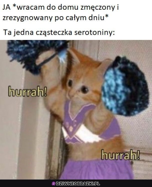 Ta jedna cząsteczka