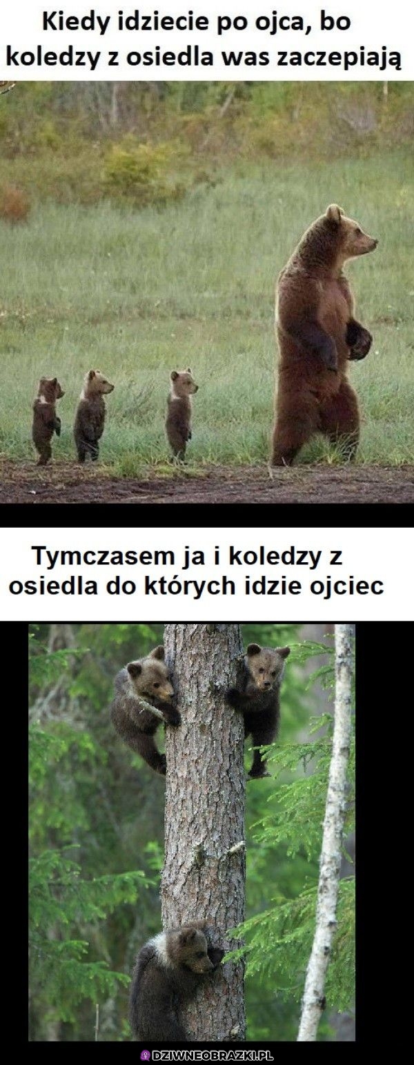 Tak było