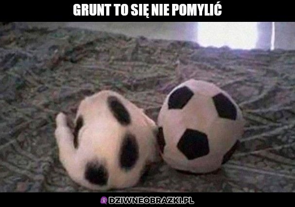 Można się pomylić