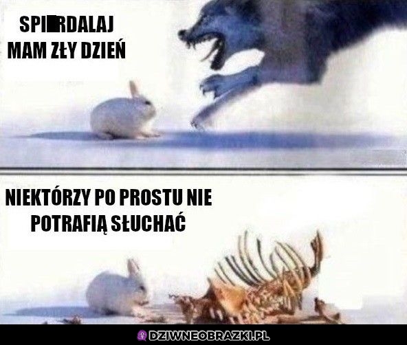 Warto słuchać