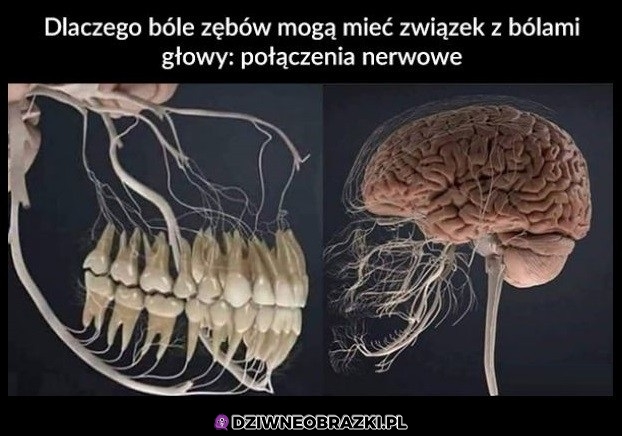 Związek