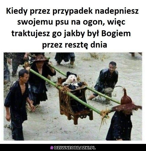 Ten moment