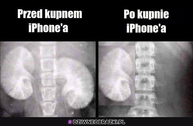 Kupno nowego iphone