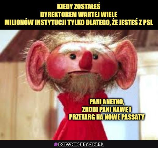 Jesteś z PSL