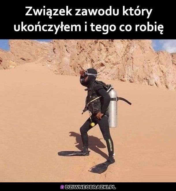 Mniej wiecej tyle wspólnego