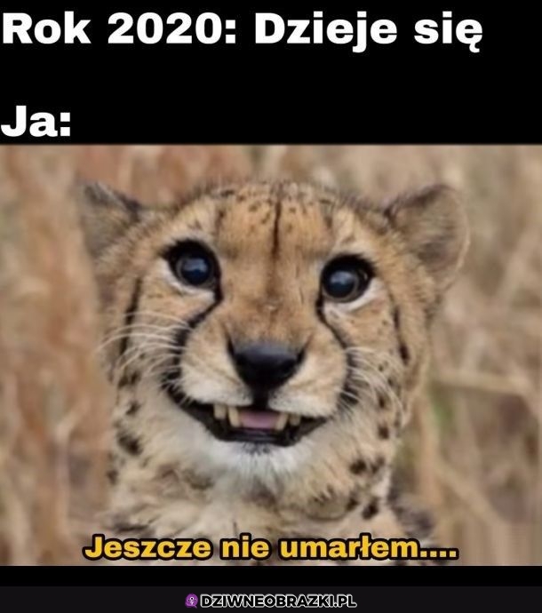 Tyle dobrego