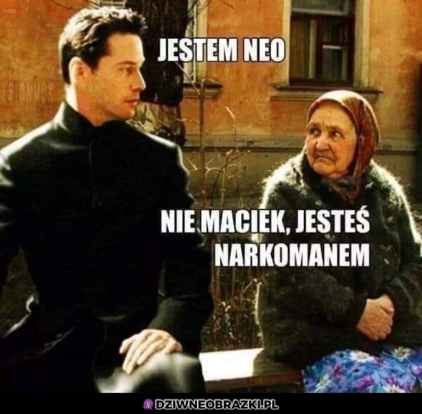 Nie maciek, nie jesteś
