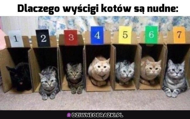 Nuda