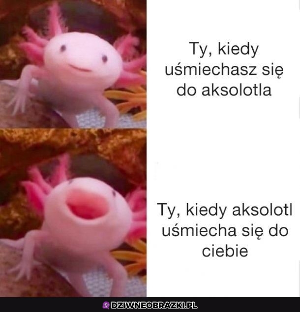 Ten moment