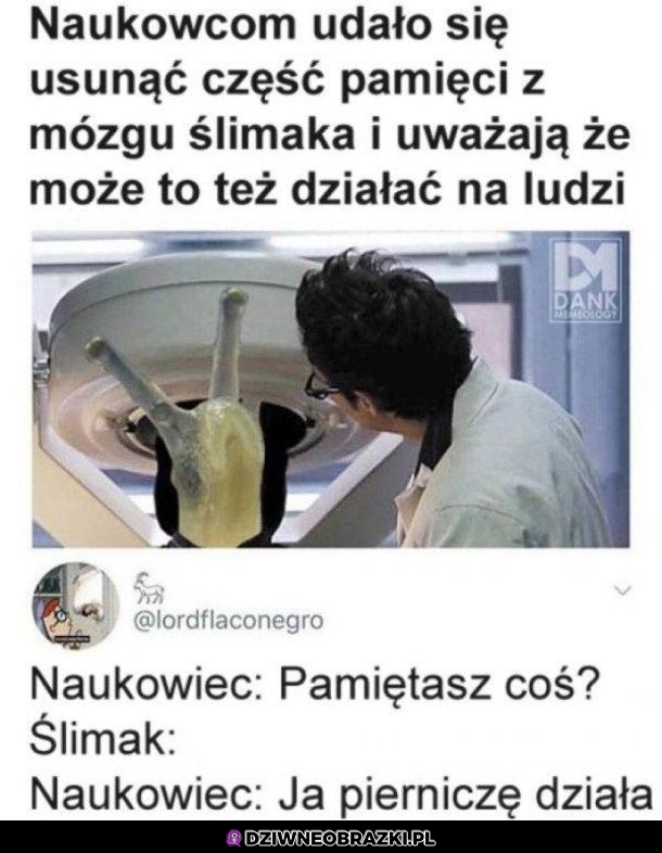 Ślimaki