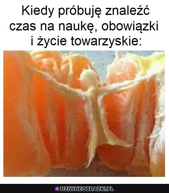 Próbuję się rozerwać