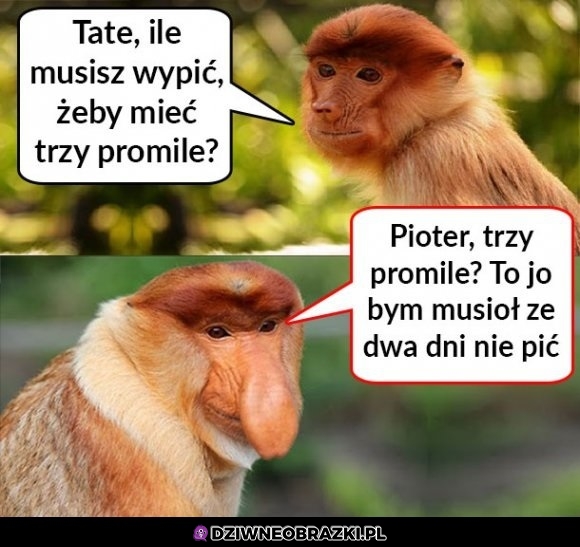 Trzy promile Janusza