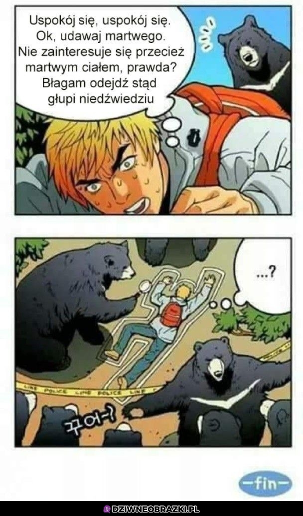 Niedźwiedź