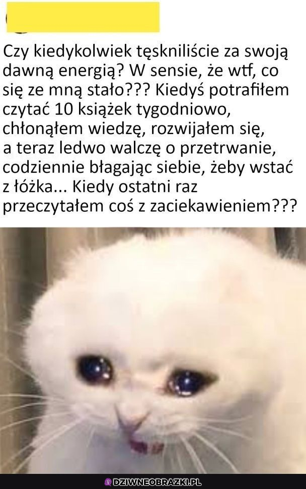 Tęsknicie za tym?