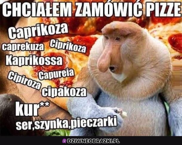Pitca