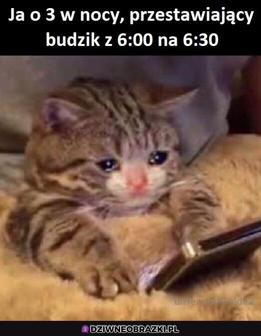 To ja