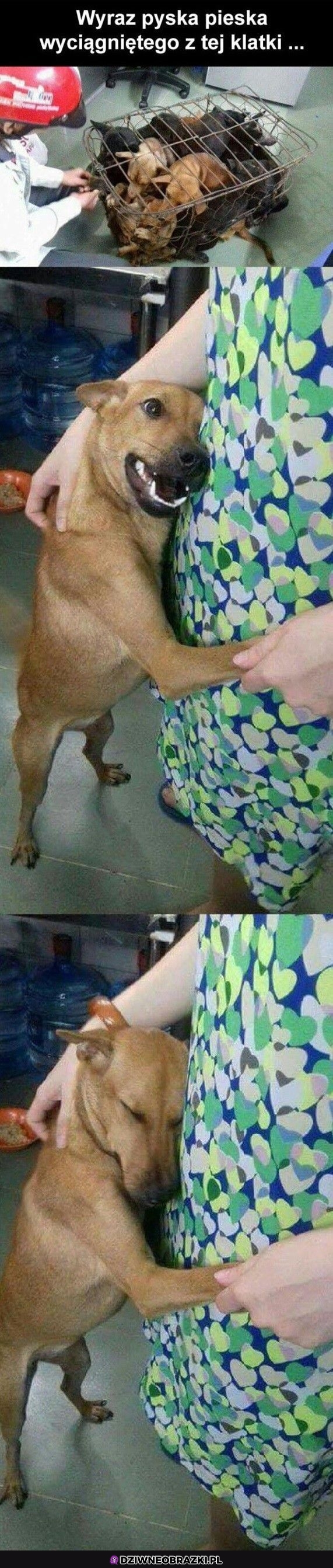 Dbajmy o nie