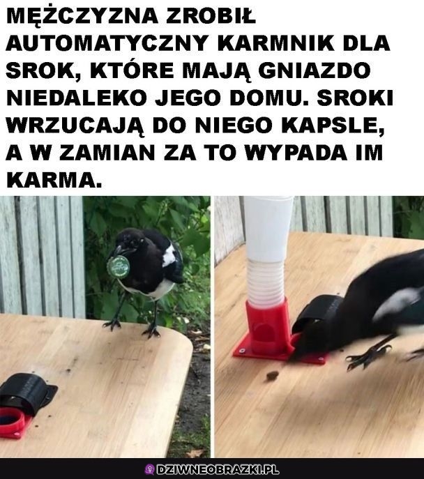 I okolica posprzątana